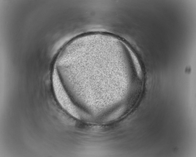 X0000111901167200908171232