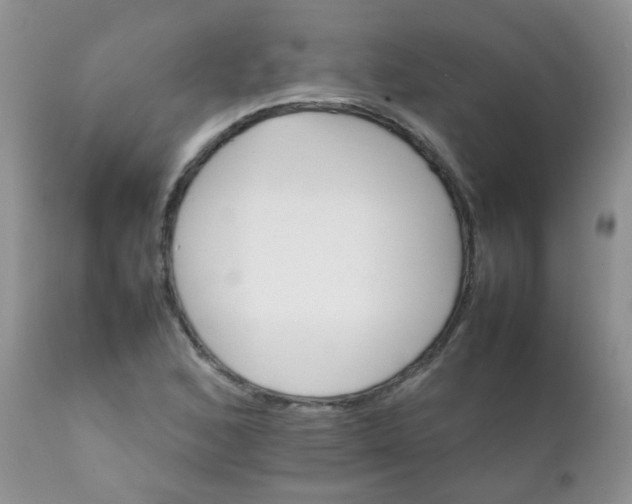 X0000111901168200908171232