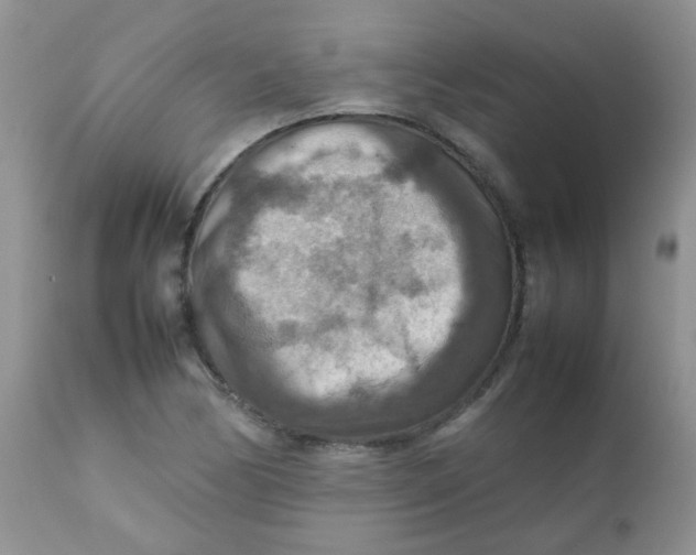 X0000111901170200908171232