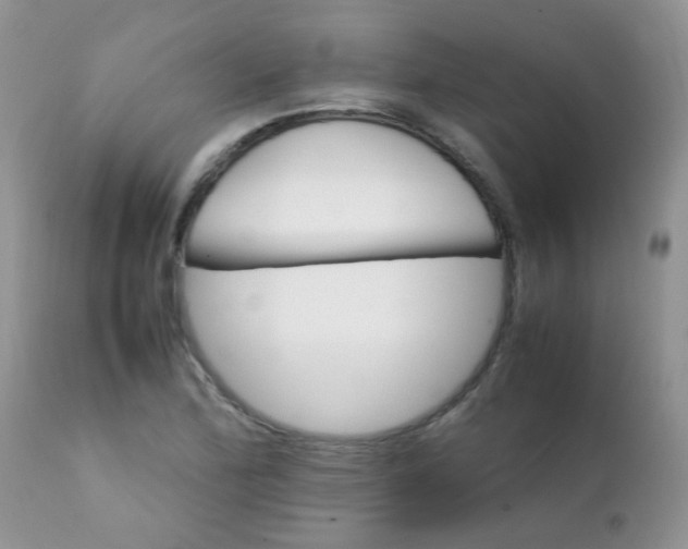 X0000111901172200908171232