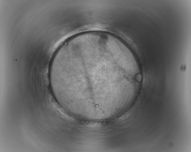 X0000111901174200908171232