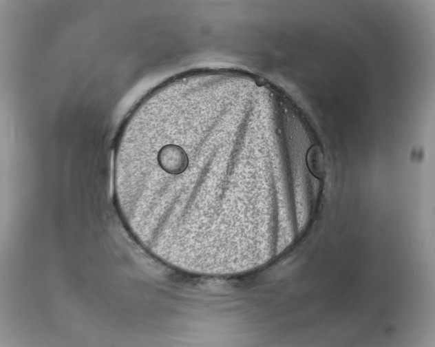 X0000111901175200908171232