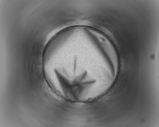 X0000111901176200908171232