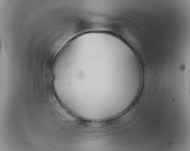 X0000111901177200908171231