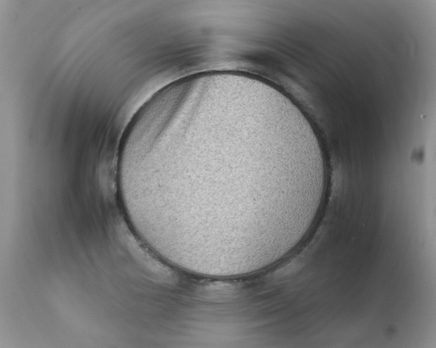 X0000111901178200908171231