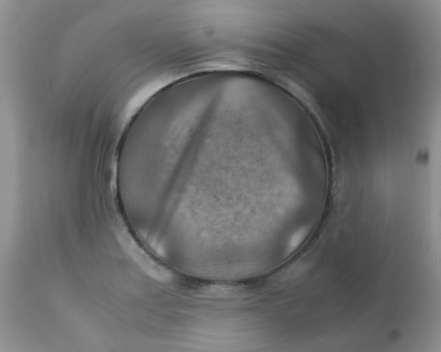 X0000111901179200908171231