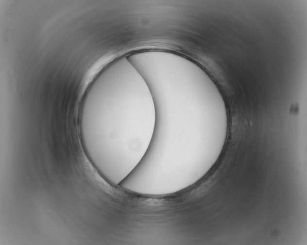 X0000111901180200908171231