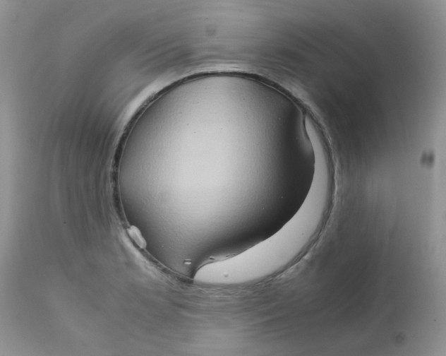 X0000111901181200908171231