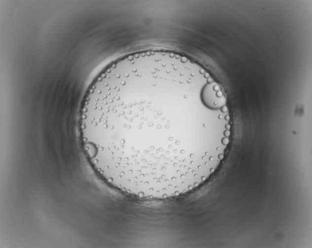 X0000111901182200908171231