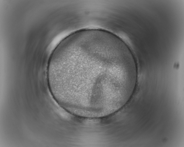 X0000111901183200908171231