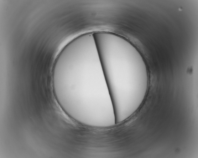 X0000111901184200908171231