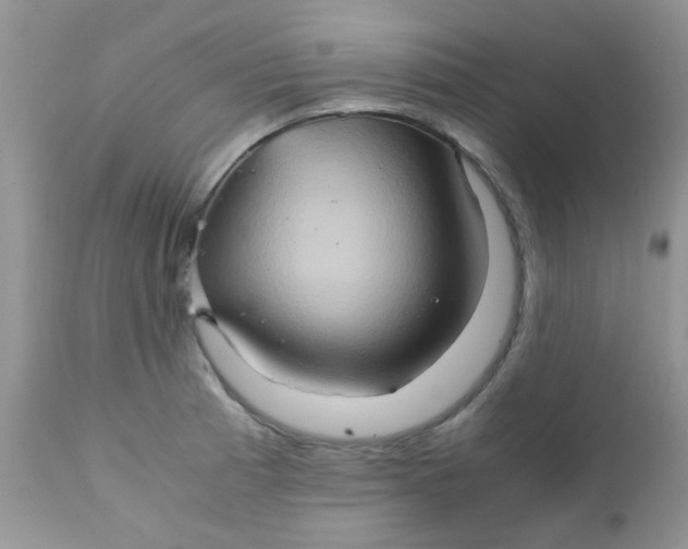 X0000111901185200908171231