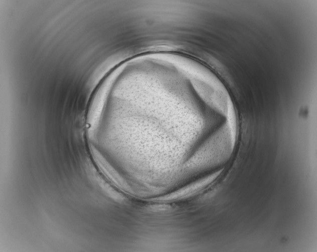 X0000111901186200908171231