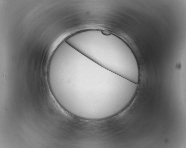 X0000111901188200908171231