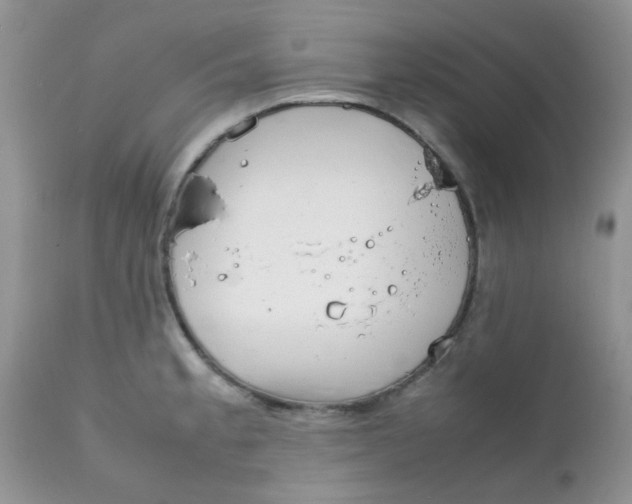 X0000111901189200908171231