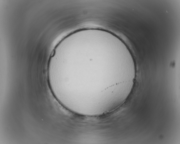 X0000111901191200908171231