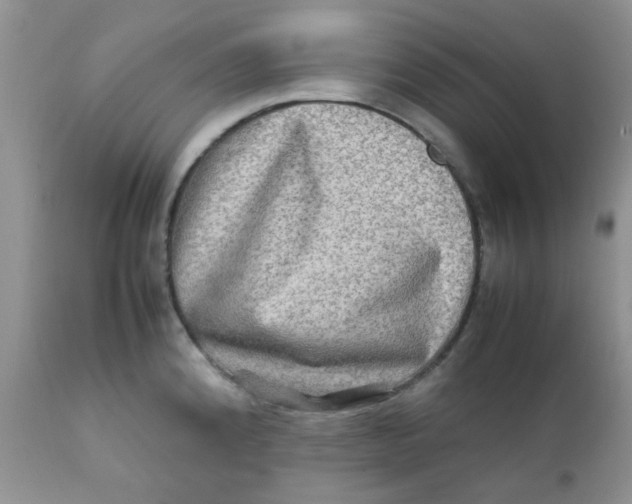 X0000111901192200908171231