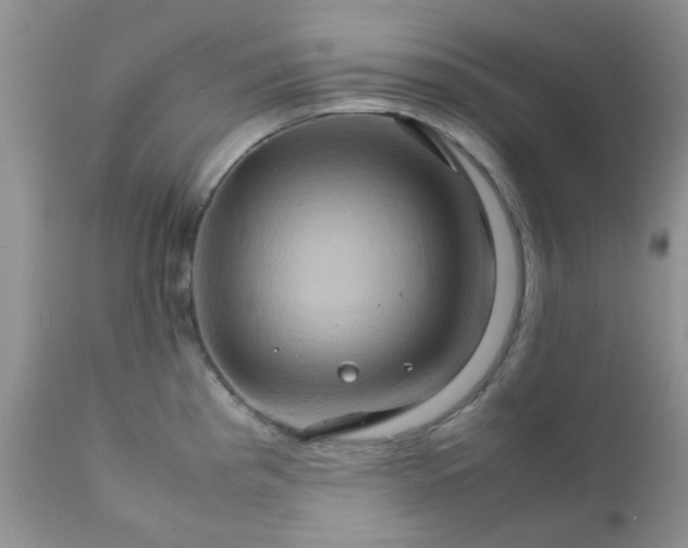 X0000111901193200908171231