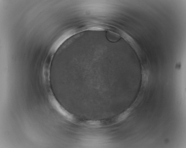 X0000111901194200908171231