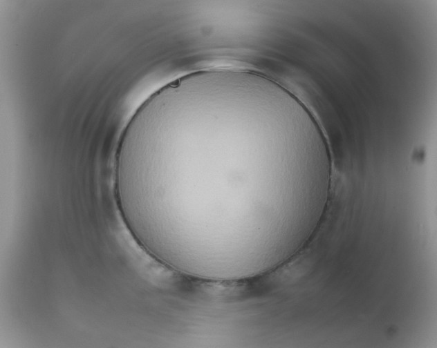 X0000111901195200908171231