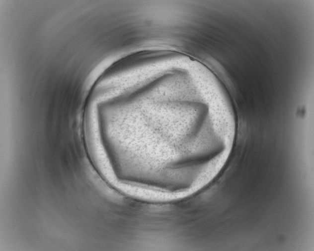 X0000111901196200908171231