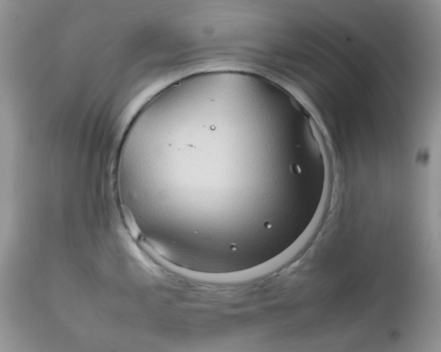 X0000111901197200908171231