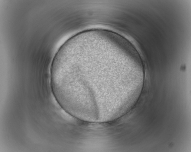 X0000111901199200908171231