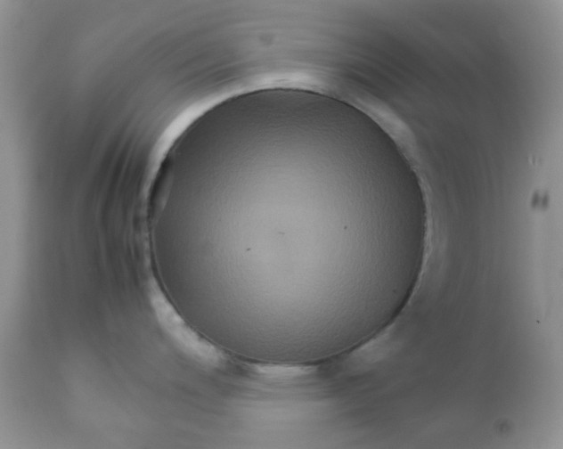 X0000111901200200908171231