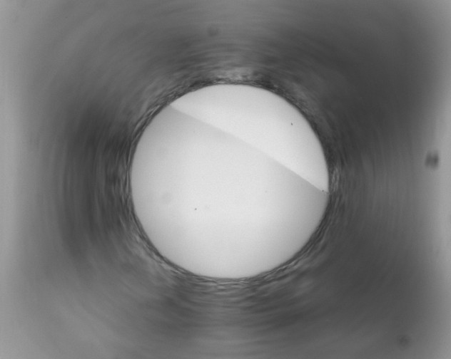 X0000111901202200908171230