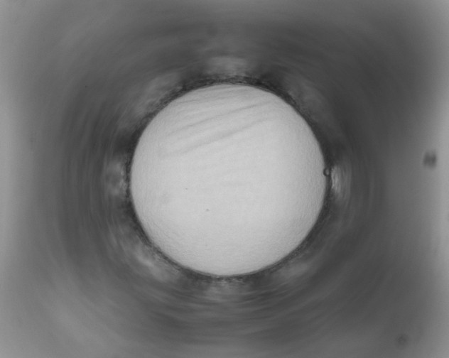 X0000111901203200908171230