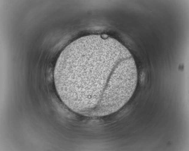 X0000111901204200908171230