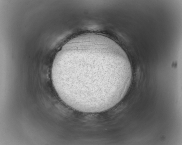 X0000111901205200908171230