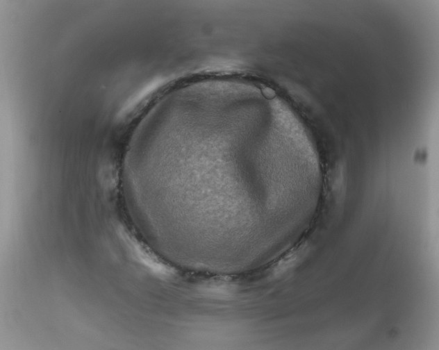 X0000111901206200908171230