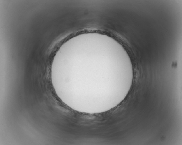 X0000111901207200908171230