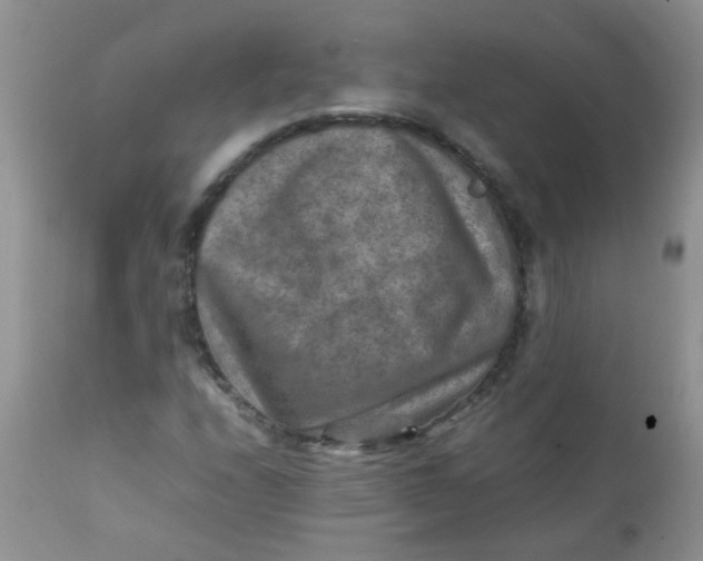 X0000111901208200908171230