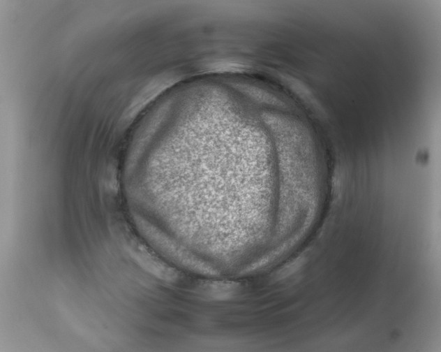 X0000111901209200908171230