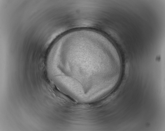 X0000111901210200908171230