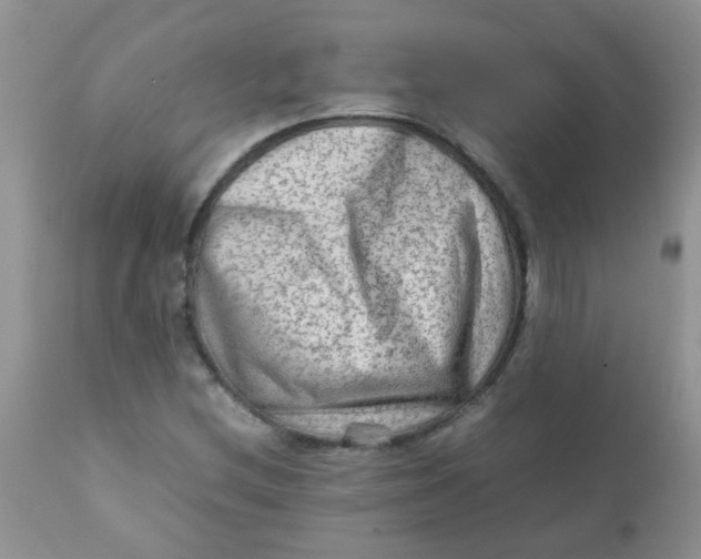 X0000111901212200908171230