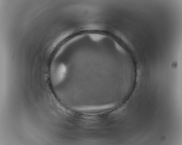 X0000111901213200908171231