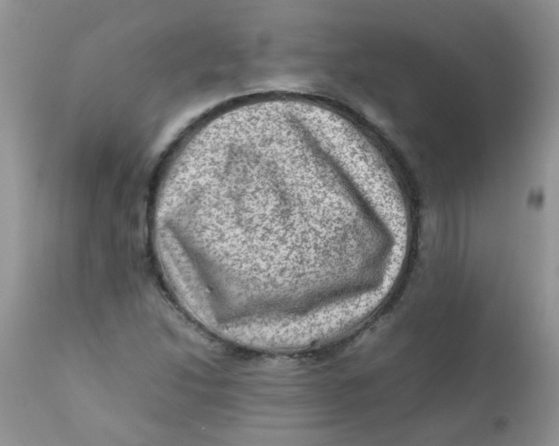 X0000111901214200908171231