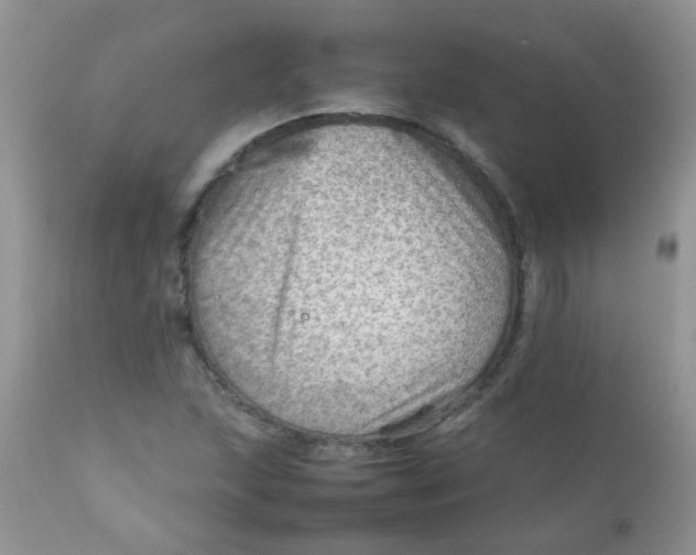 X0000111901215200908171231