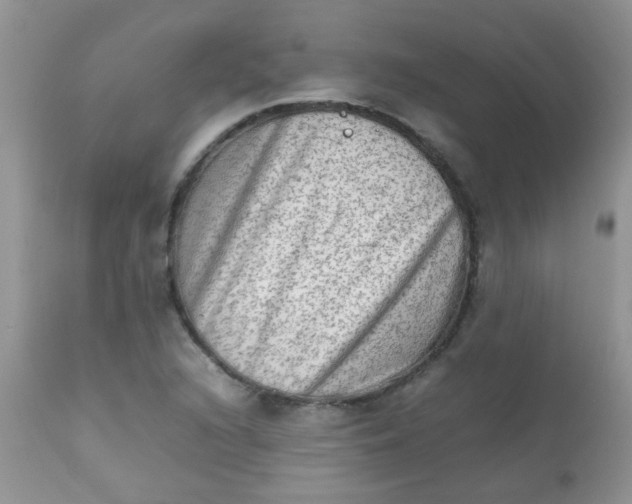 X0000111901216200908171231