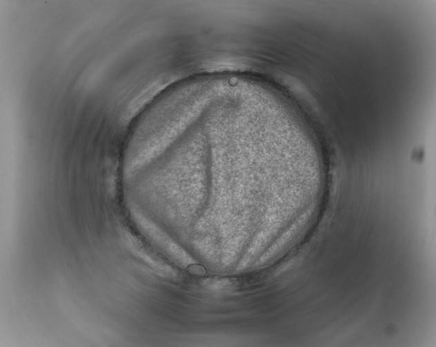 X0000111901217200908171231