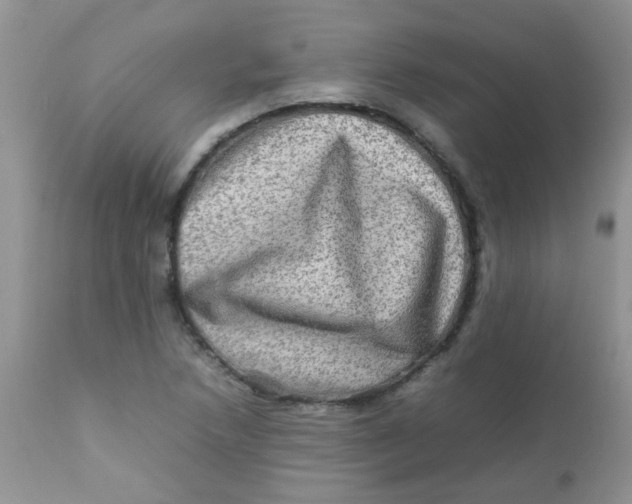 X0000111901218200908171231