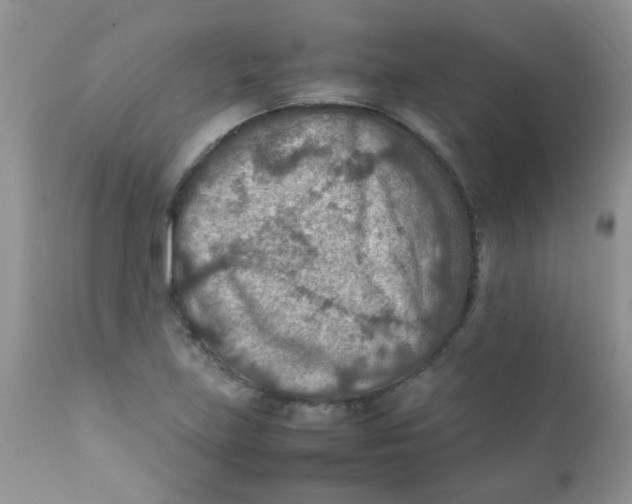 X0000111901219200908171231