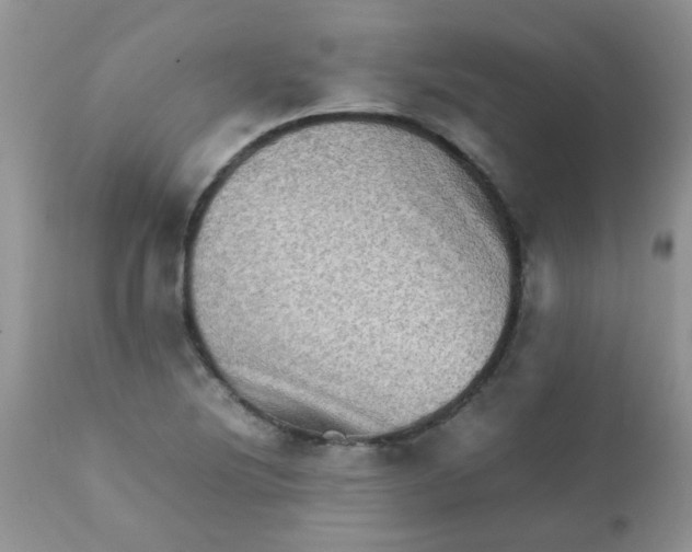 X0000111901220200908171231