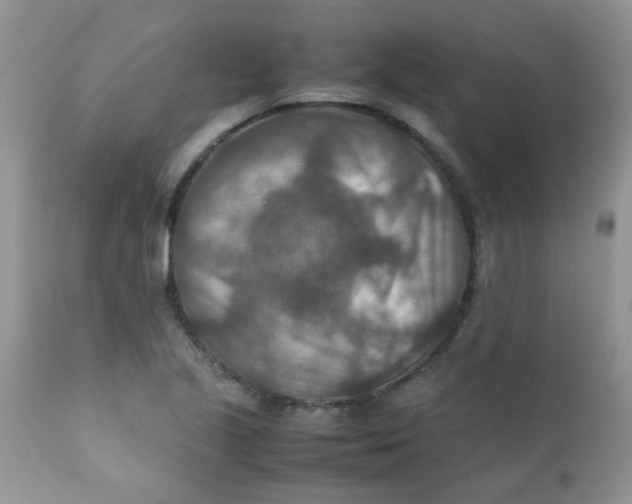 X0000111901221200908171231