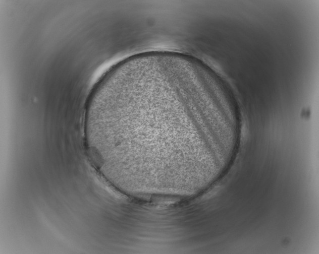 X0000111901222200908171231