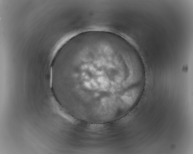 X0000111901223200908171231