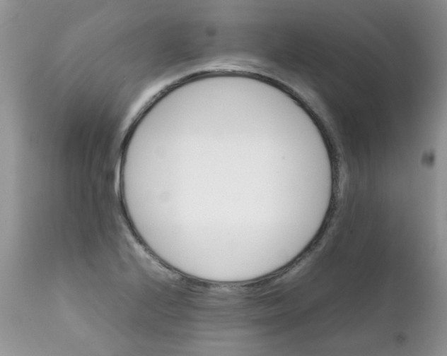 X0000111901224200908171231